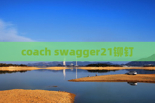 coach swagger21铆钉